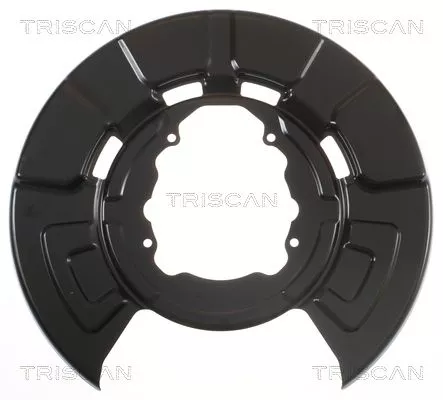 Spatbord, remschijf TRISCAN 8125 11217)