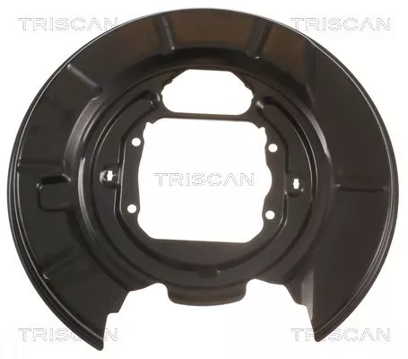 Spatbord, remschijf TRISCAN 8125 11218)
