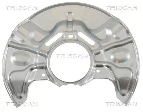 Spatbord, remschijf TRISCAN 8125 13114)