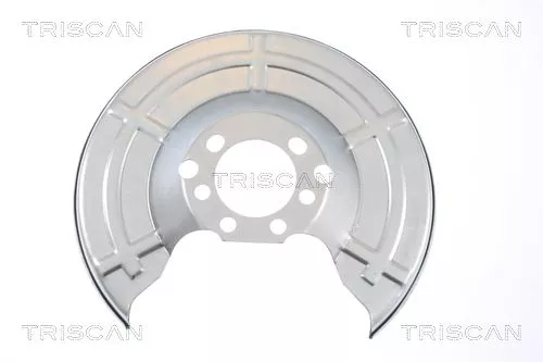 Spatbord, remschijf TRISCAN 8125 24201)