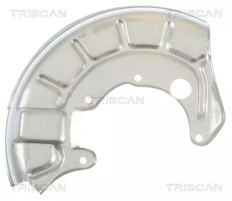 Spatbord, remschijf TRISCAN 8125 29119)