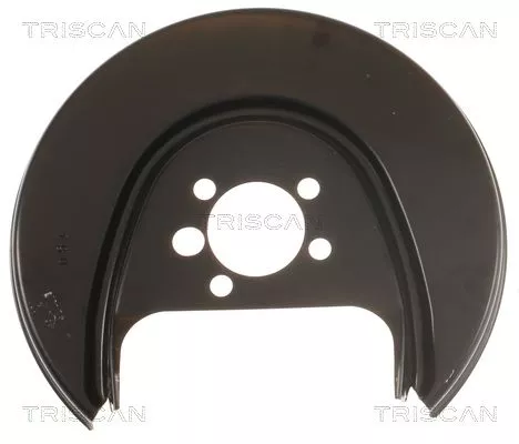 Spatbord, remschijf TRISCAN 8125 29202)