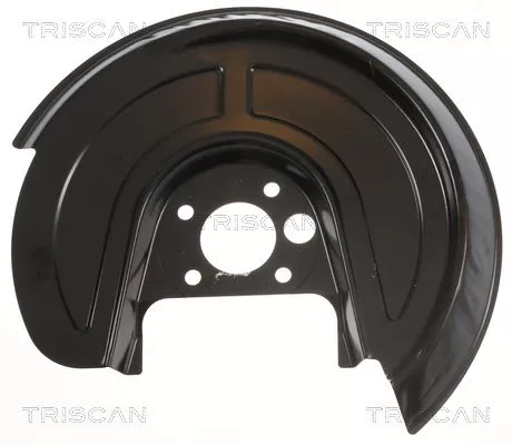 Spatbord, remschijf TRISCAN 8125 29211)