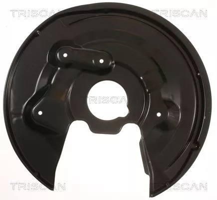 Spatbord, remschijf TRISCAN 8125 29252)