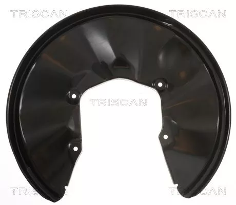 Spatbord, remschijf TRISCAN 8125 29268)