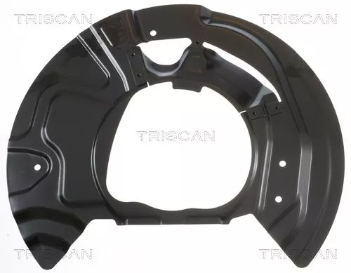 Spatbord, remschijf TRISCAN 8125 11117)