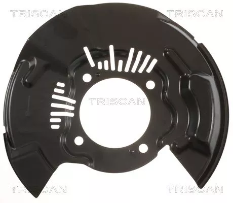 Spatbord, remschijf TRISCAN 8125 13110)