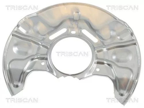 Spatbord, remschijf TRISCAN 8125 13113)