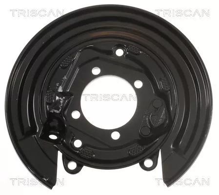 Spatbord, remschijf TRISCAN 8125 13202)