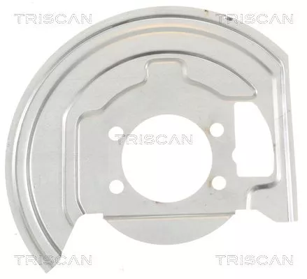 Spatbord, remschijf TRISCAN 8125 14103)