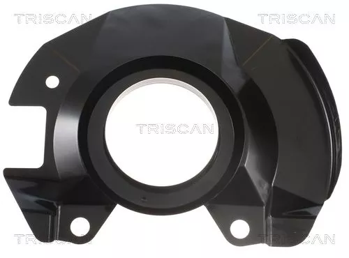 Spatbord, remschijf TRISCAN 8125 18108)