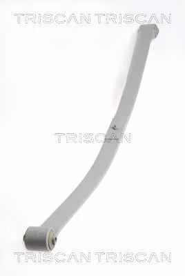 Spring Pack TRISCAN 8765 29019)