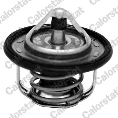 Thermostaat, koelvloeistof CALORSTAT by Vernet TH7300.95J)