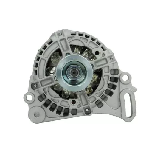 Alternator BV PSH 305.511.090.010)