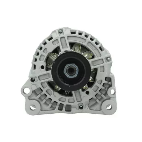 Alternator BV PSH 305.517.090.010)