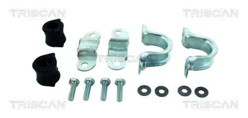 Stabilisatorset TRISCAN 8500 10653)