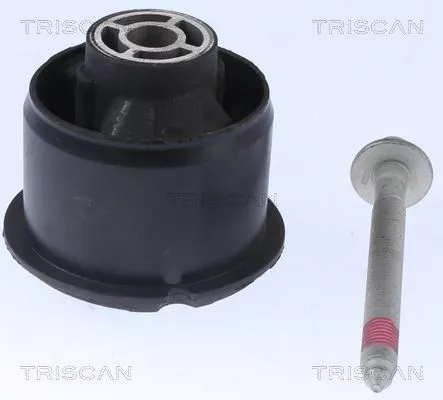 Bus, asbalk TRISCAN 8500 16888)
