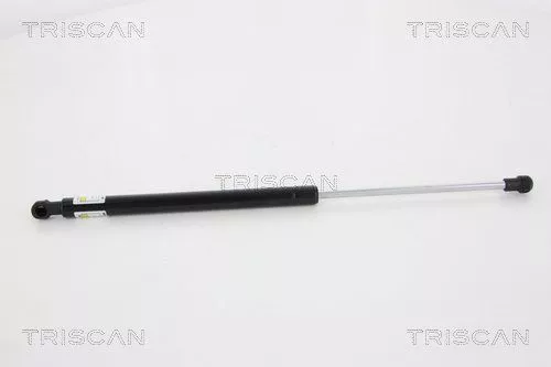 Gasveer, kofferbak/laadruimte TRISCAN 8710 13275)