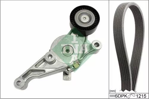 V-geribbelde riemset Schaeffler INA 529 0462 10)