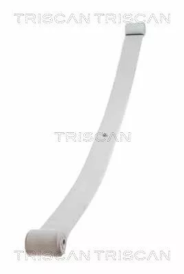 Spring Pack TRISCAN 8765 10004)