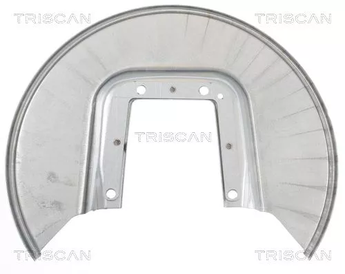 Spatbord, remschijf TRISCAN 8125 28202)