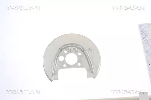 Spatbord, remschijf TRISCAN 8125 29209)