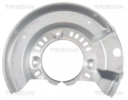 Spatbord, remschijf TRISCAN 8125 13103)
