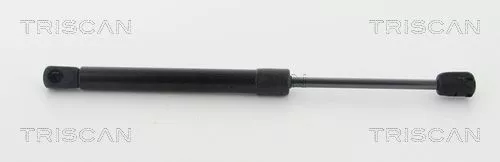 Gasveer, motorkap TRISCAN 8710 11133)