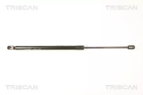Gasveer, kofferbak/laadruimte TRISCAN 8710 50244)
