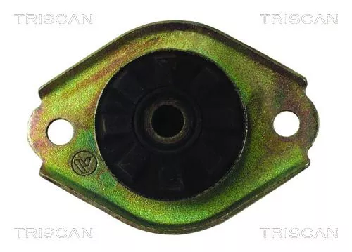 Steun voor veerpootophanging TRISCAN 8500 15902)