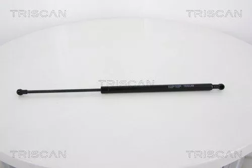 Gasveer, kofferbak/laadruimte TRISCAN 8710 28237)