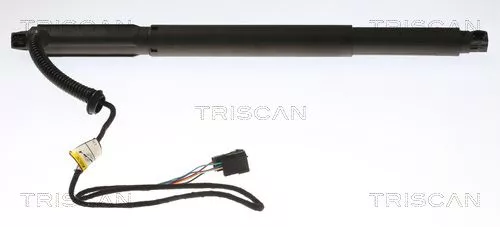 Gasveer, kofferbak/laadruimte TRISCAN 8710 11301)