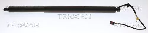 Gasveer, kofferbak/laadruimte TRISCAN 8710 20301)