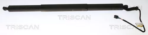 Gasveer, kofferbak/laadruimte TRISCAN 8710 29306)