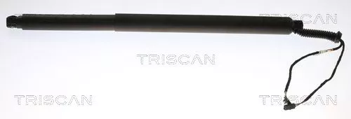Gasveer, kofferbak/laadruimte TRISCAN 8710 29312)