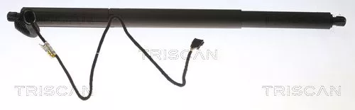 Gasveer, kofferbak/laadruimte TRISCAN 8710 11305)