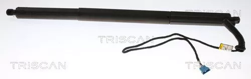 Gasveer, kofferbak/laadruimte TRISCAN 8710 11306)
