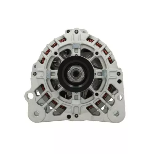 Alternator BV PSH 305.560.070.000)