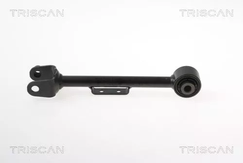 Draagarm/achterwielophanging TRISCAN 8500 40581)