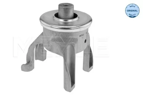 Montage, motor MEYLE 100 199 0324)