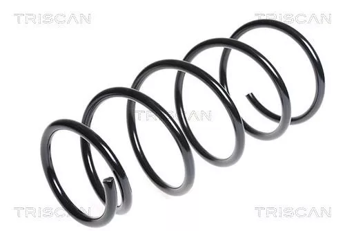 Veerophanging TRISCAN 8750 6835)