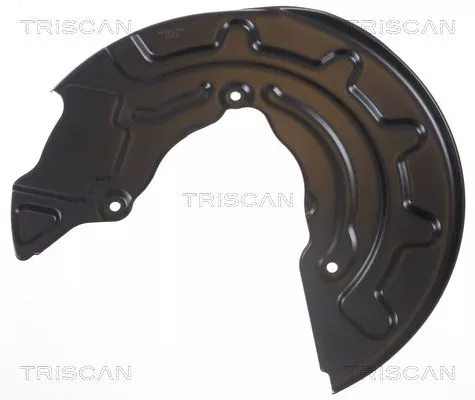 Spatbord, remschijf TRISCAN 8125 29155)