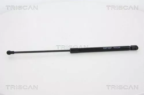 Gasveer, kofferbak/laadruimte TRISCAN 8710 66207)