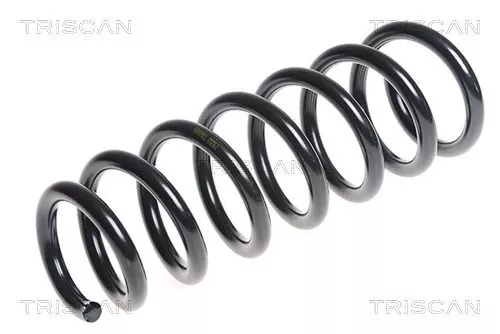 Veerophanging TRISCAN 8750 11135)