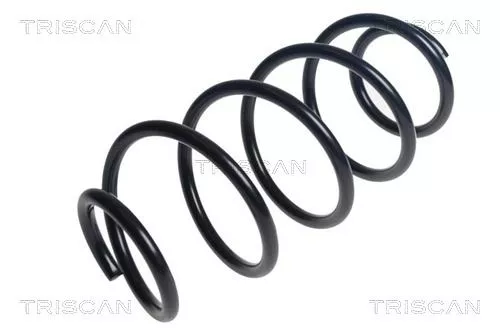 Veerophanging TRISCAN 8750 28301)