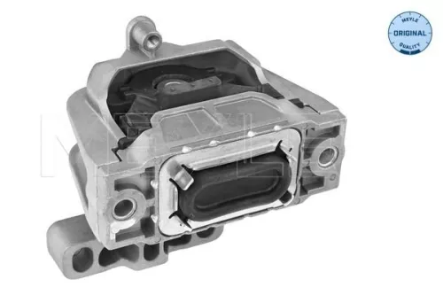 Montage, motor MEYLE 100 199 0218)