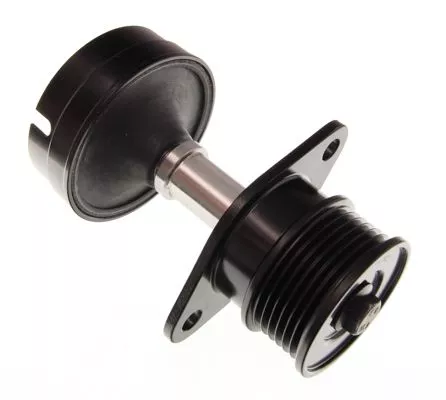 Riempoelie, dynamo MAXGEAR 30-0319)