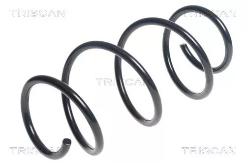 Veerophanging TRISCAN 8750 11144)