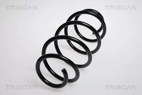 Veerophanging TRISCAN 8750 24144)
