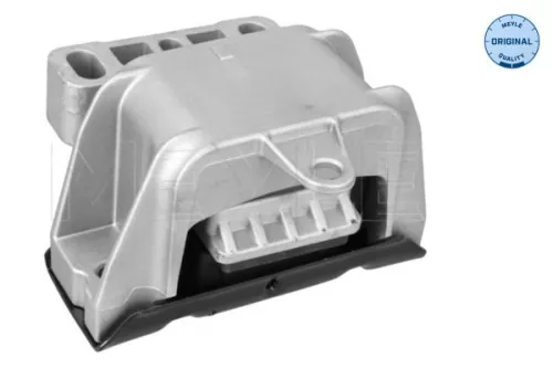 Montage, motor MEYLE 100 199 0242)